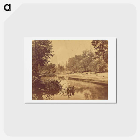 アートポストカード-Sylvan Bar. Valley of the Yosemite
 - エドワード マイブリッジ Postcard.