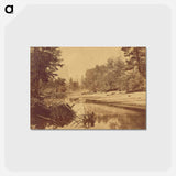 アートポストカード-Sylvan Bar. Valley of the Yosemite
 - エドワード マイブリッジ Postcard.