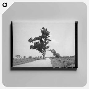 アートパネル-Tyrone, New Mexico
 - ラッセル リー Canvas.