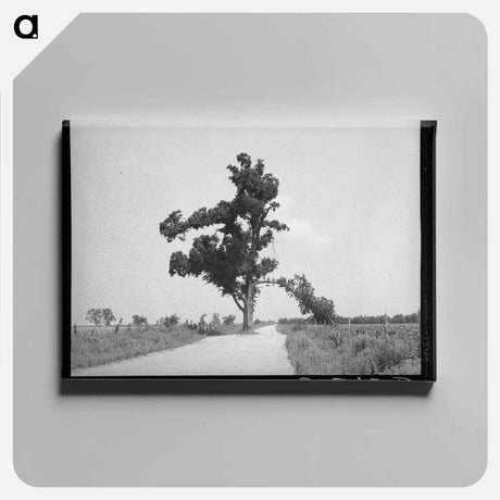 アートパネル-Tyrone, New Mexico
 - ラッセル リー Canvas.