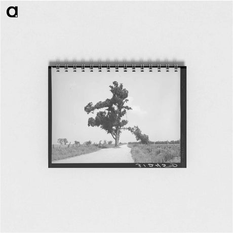 アートメモ帳-Tyrone, New Mexico
 - ラッセル リー Memo.