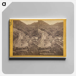 アートパネル-Guatemala, Baranca of Ynsiensi
 - エドワード マイブリッジ Canvas.