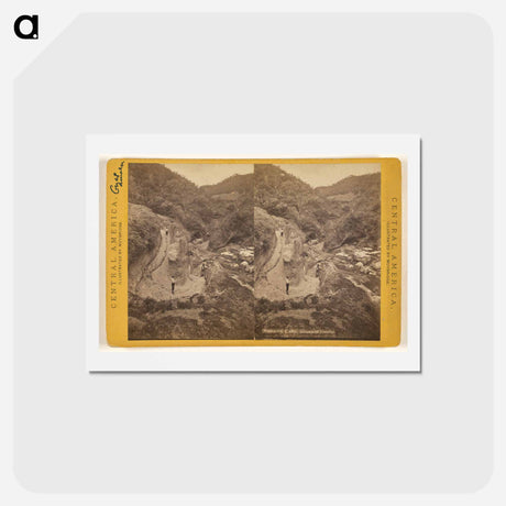 アートポストカード-Guatemala, Baranca of Ynsiensi
 - エドワード マイブリッジ Postcard.