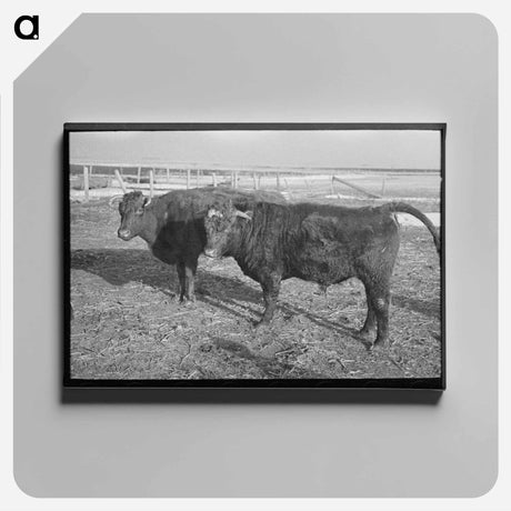 アートパネル-Texas Farm Labor
 - ラッセル リー Canvas.
