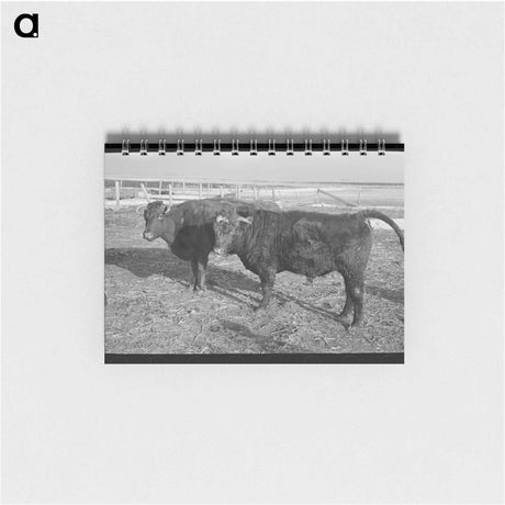 アートメモ帳-Texas Farm Labor
 - ラッセル リー Memo.