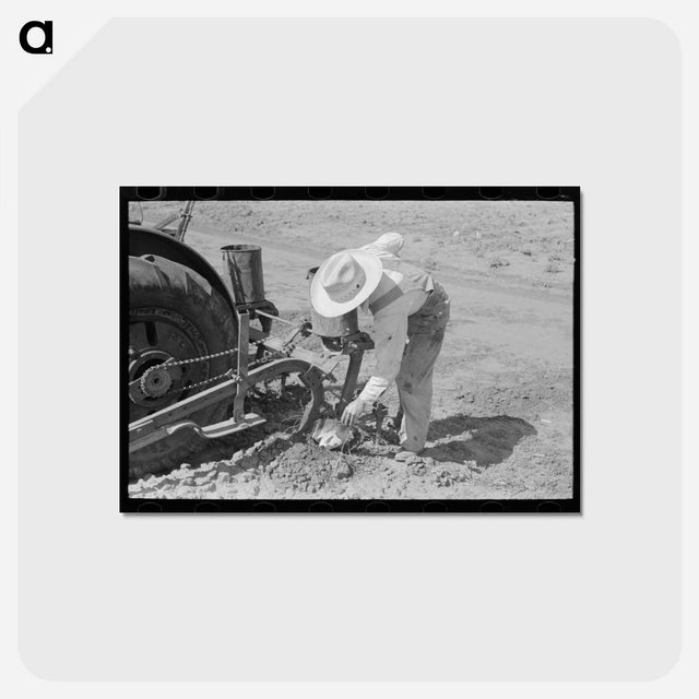 アートポストカード-Texas Farm Labor
 - ラッセル リー Postcard.