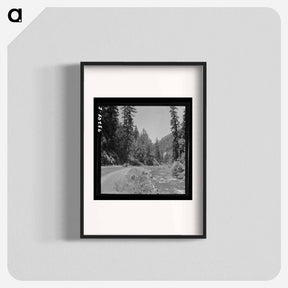 アートポスター-Willamette National Forest
 - ラッセル リー Poster.
