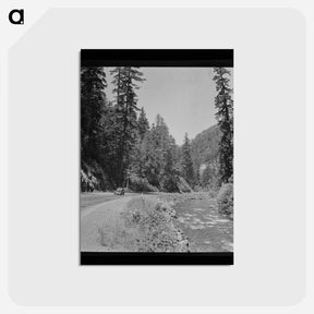 アートポストカード-Willamette National Forest
 - ラッセル リー Postcard.