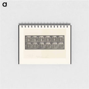アートメモ帳-Walking Elephants
 - エドワード マイブリッジ Memo.
