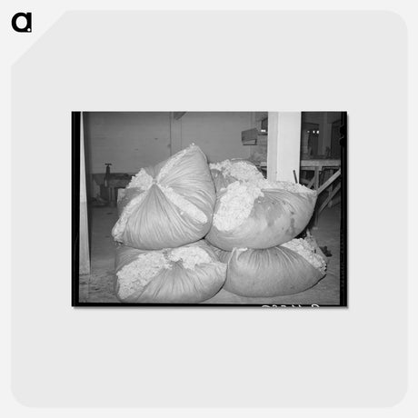 アートポストカード-Wool Scouring, San Marcos
 - ラッセル リー Postcard.