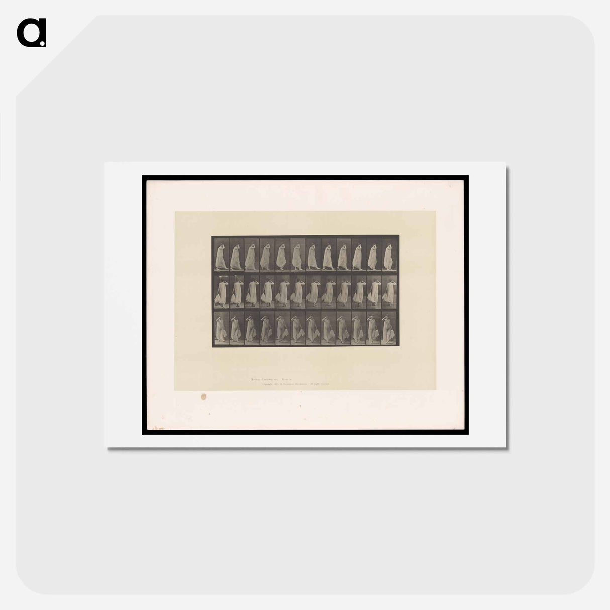 アートポストカード-Woman in Motion
 - エドワード マイブリッジ Postcard.