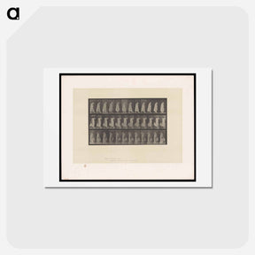アートポストカード-Woman in Motion
 - エドワード マイブリッジ Postcard.