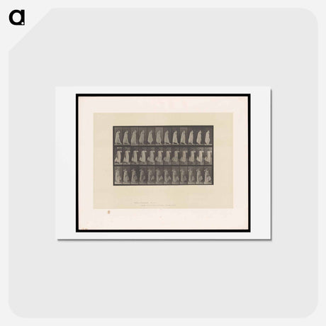 アートポストカード-Woman in Motion
 - エドワード マイブリッジ Postcard.