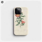 Rose illustration - Pierre Joseph Redouté Phone Case.