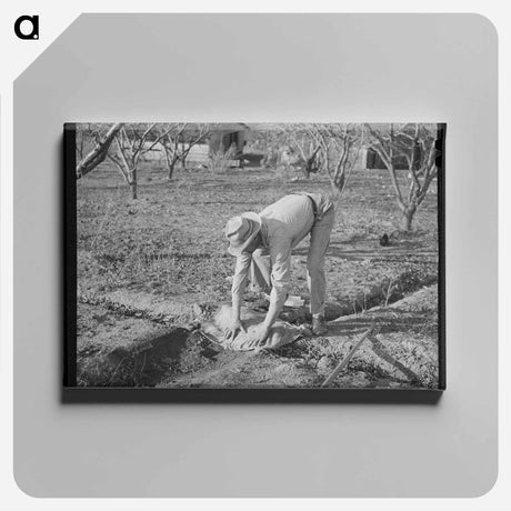 アートパネル-Jersey Homesteads Construction
 - ラッセル リー Canvas.