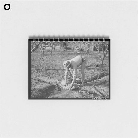 アートメモ帳-Jersey Homesteads Construction
 - ラッセル リー Memo.