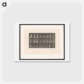 アートポストカード-Woman Rising
 - エドワード マイブリッジ Postcard.