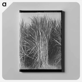 アートパネル-Roosevelt Dam
 - ラッセル リー Canvas.