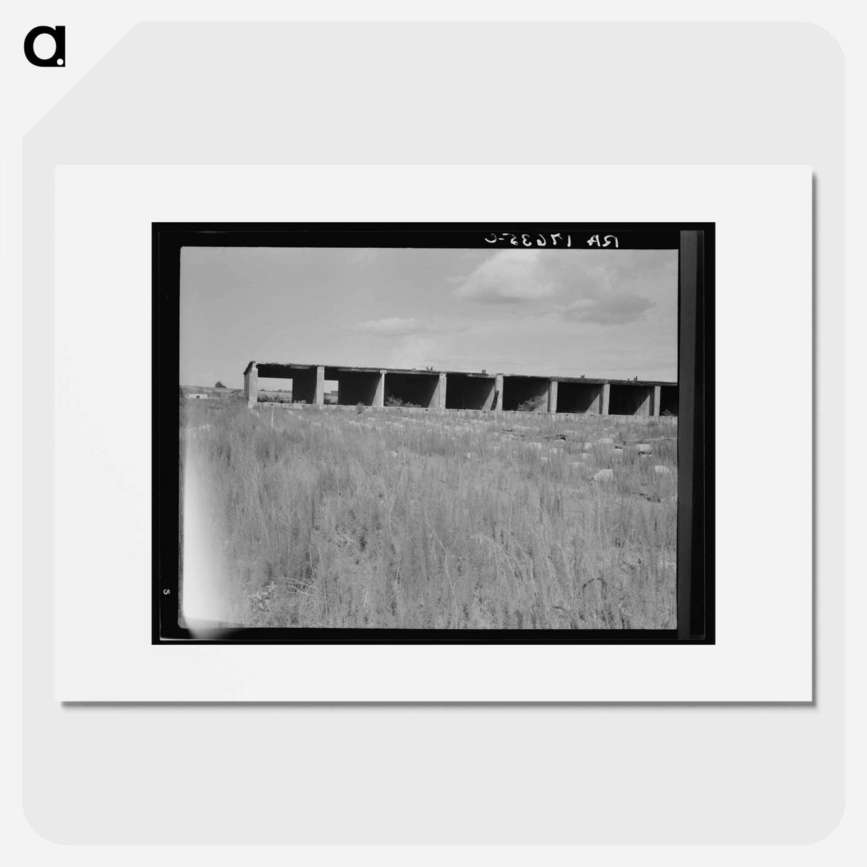 Remains of dry kiln shed - Dorothea Lange Poster.