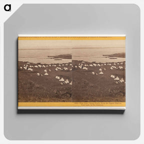 アートパネル-Tule Lake, Camp South
 - エドワード マイブリッジ Canvas.