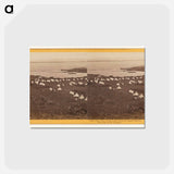 アートポストカード-Tule Lake, Camp South
 - エドワード マイブリッジ Postcard.