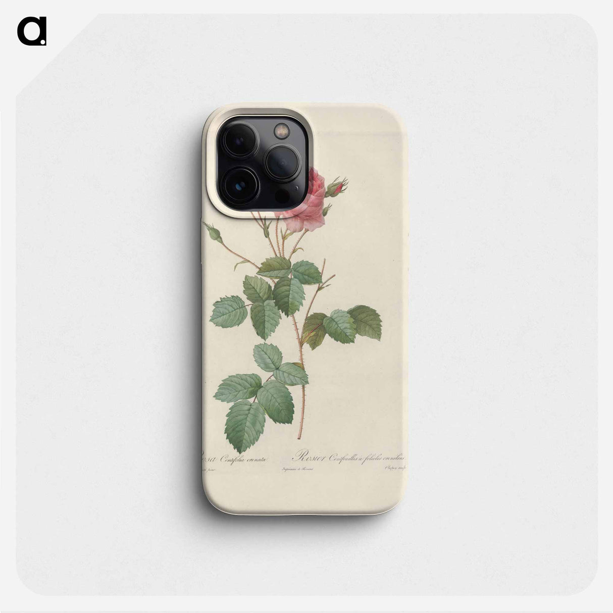Rose illustration - ピエール ジョゼフ ルドゥーテ Phone Case.