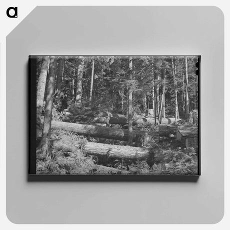 アートパネル-Highway Accident Marker
 - ラッセル リー Canvas.