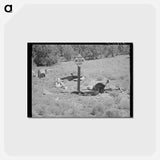 アートポストカード-Highway Accident Marker
 - ラッセル リー Postcard.