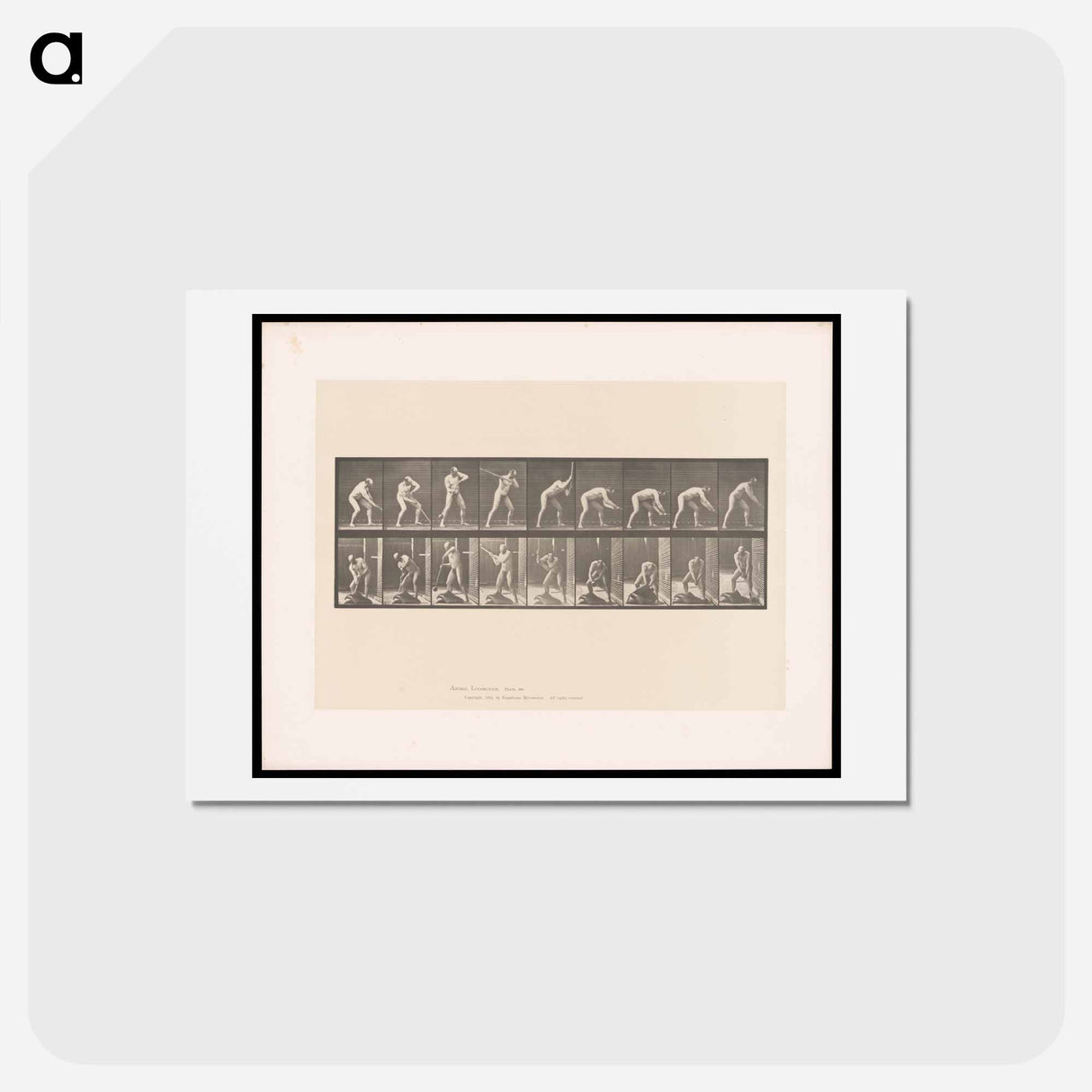 アートポストカード-The Mallet
 - エドワード マイブリッジ Postcard.