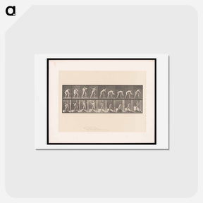アートポストカード-The Mallet
 - エドワード マイブリッジ Postcard.