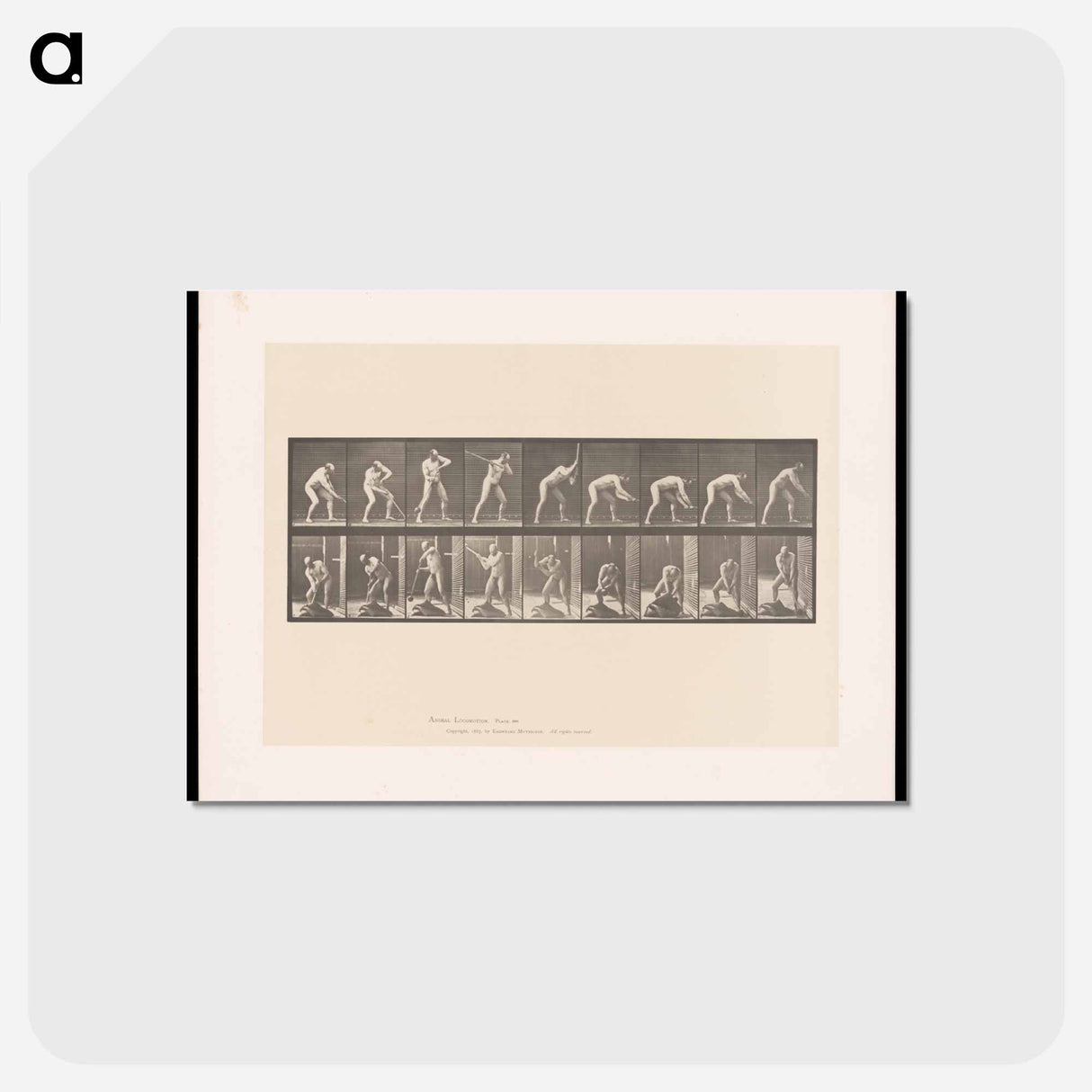 アートポストカード-The Mallet
 - エドワード マイブリッジ Postcard.