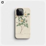 Rose illustration - Pierre Joseph Redouté Phone Case.