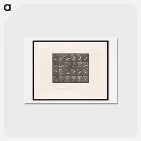 アートポストカード-Rising and Falling Hand
 - エドワード マイブリッジ Postcard.