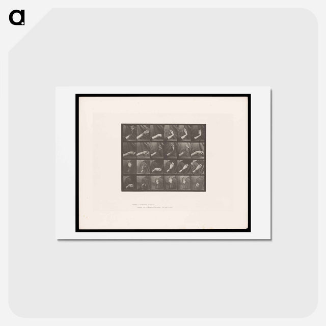 アートポストカード-Rising and Falling Hand
 - エドワード マイブリッジ Postcard.