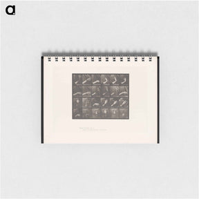 アートメモ帳-Rising and Falling Hand
 - エドワード マイブリッジ Memo.