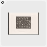 アートポストカード-Rising and Falling Hand
 - エドワード マイブリッジ Postcard.