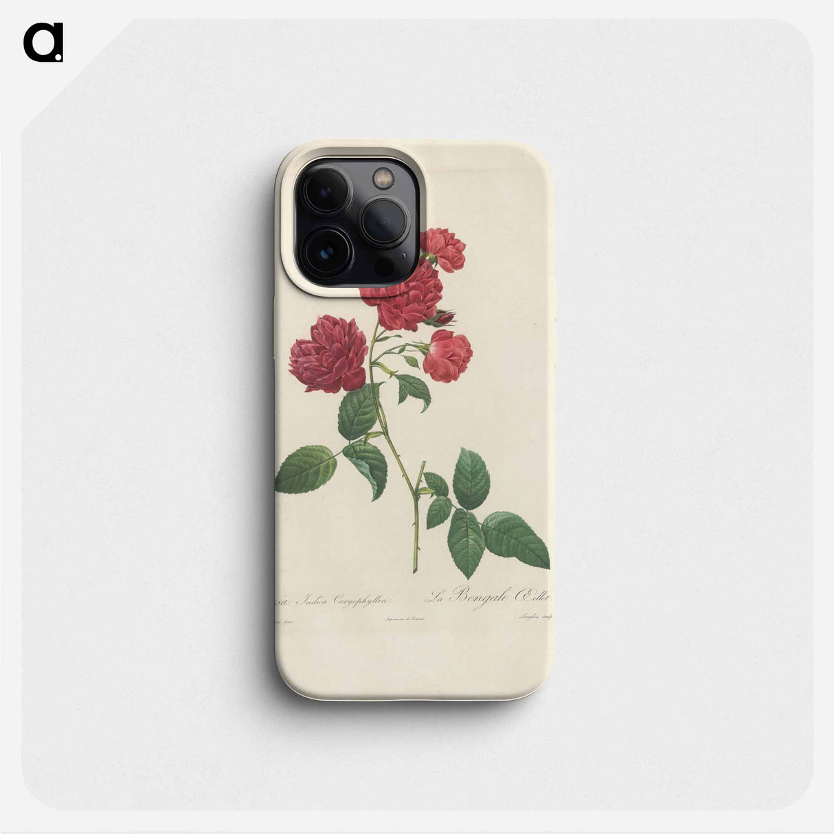 Rose illustration - ピエール ジョゼフ ルドゥーテ Phone Case.