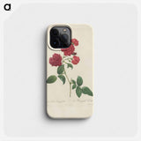 Rose illustration - ピエール ジョゼフ ルドゥーテ Phone Case.