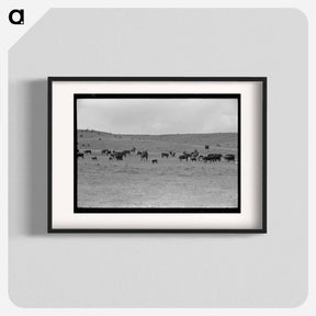 アートポスター-Roundup Near Marfa
 - ラッセル リー Poster.