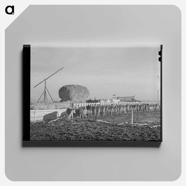 アートパネル-Roundup Near Marfa
 - ラッセル リー Canvas.