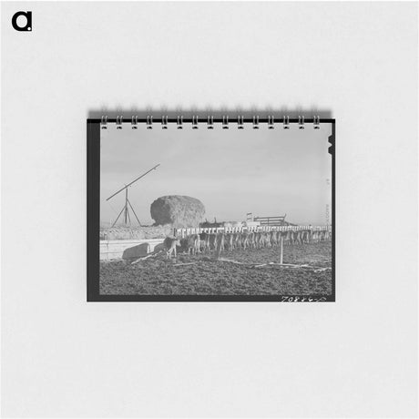 アートメモ帳-Roundup Near Marfa
 - ラッセル リー Memo.