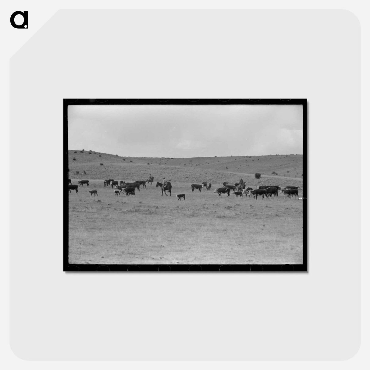 アートポストカード-Roundup Near Marfa
 - ラッセル リー Postcard.