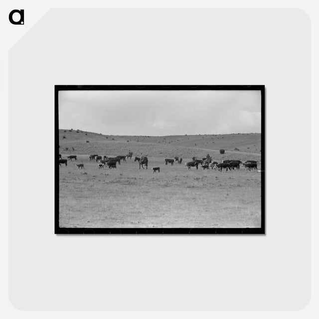 アートポストカード-Roundup Near Marfa
 - ラッセル リー Postcard.
