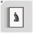 アートポスター-Washington Eagle from A Book of the United States
 - 大英図書館 Poster.