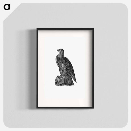 アートポスター-Washington Eagle from A Book of the United States
 - 大英図書館 Poster.