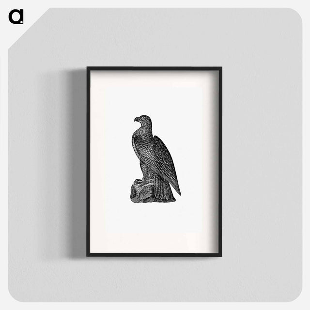 アートポスター-Washington Eagle from A Book of the United States
 - 大英図書館 Poster.