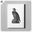 アートパネル-Washington Eagle from A Book of the United States
 - 大英図書館 Canvas.