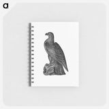 アートメモ帳-Washington Eagle from A Book of the United States
 - 大英図書館 Memo.