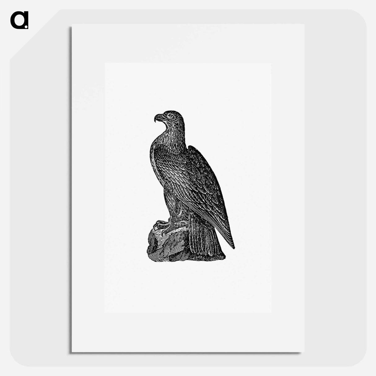 アートポスター-Washington Eagle from A Book of the United States
 - 大英図書館 Poster.