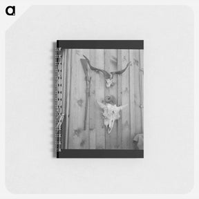 アートメモ帳-Side of Cates' new house - ドロテア ラング Memo.